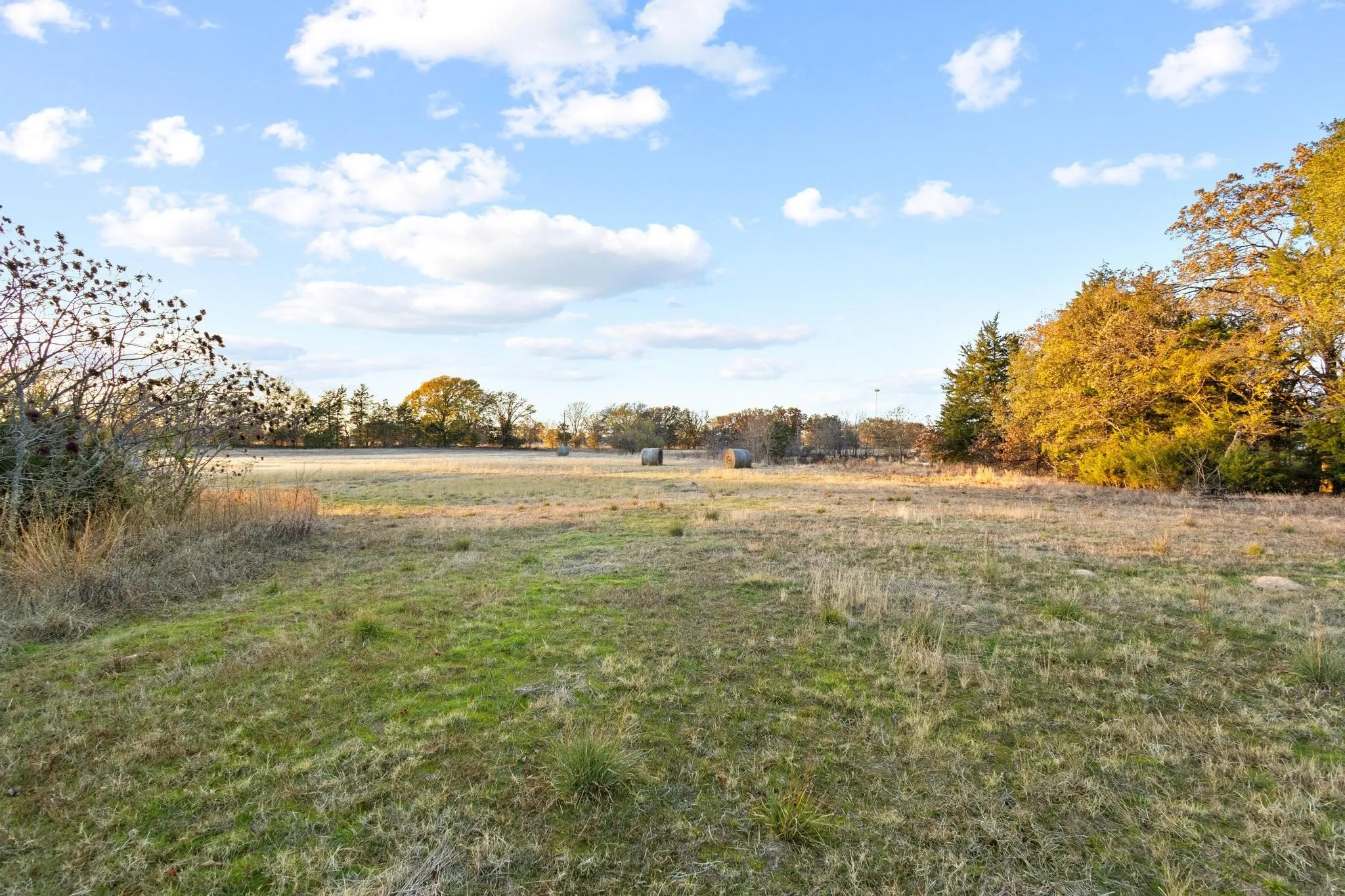 view of pasture