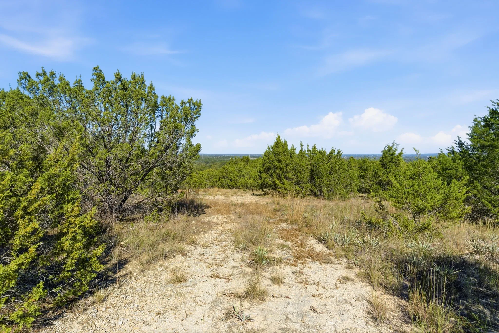 View of undeveloped land