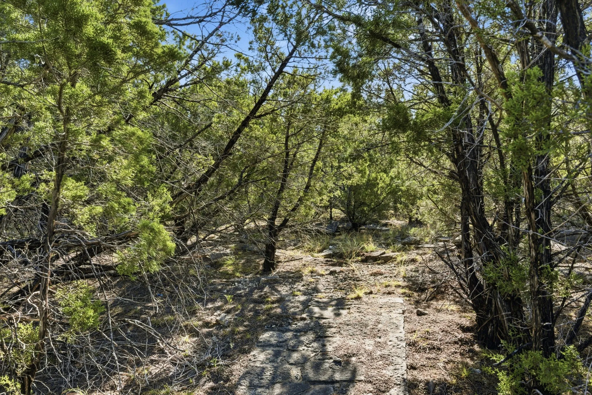 View of undeveloped land