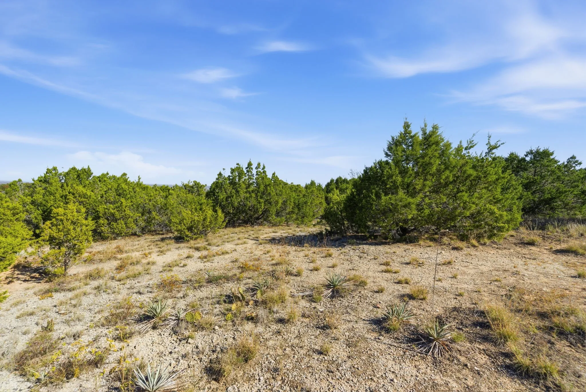 View of undeveloped land