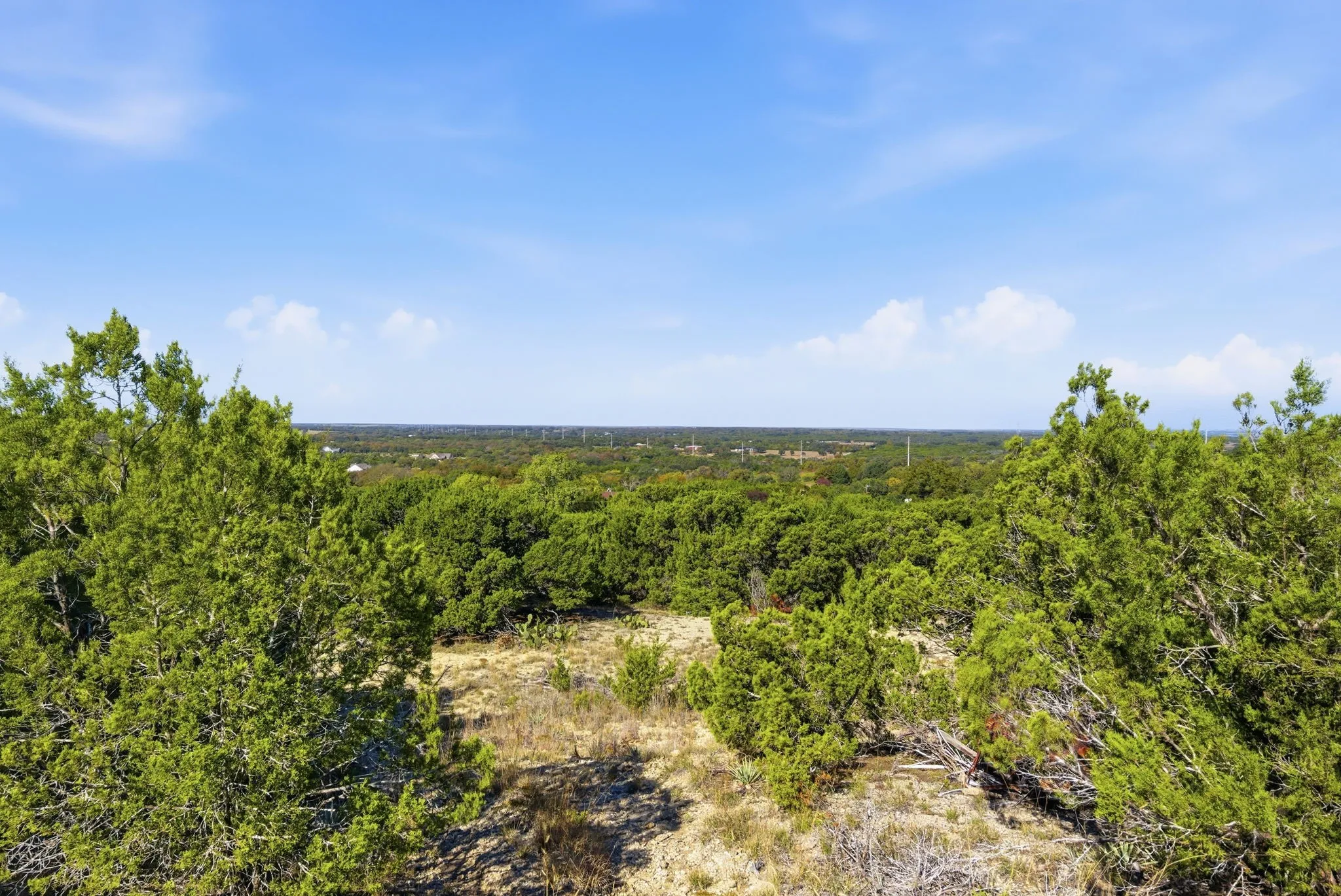 View of woods