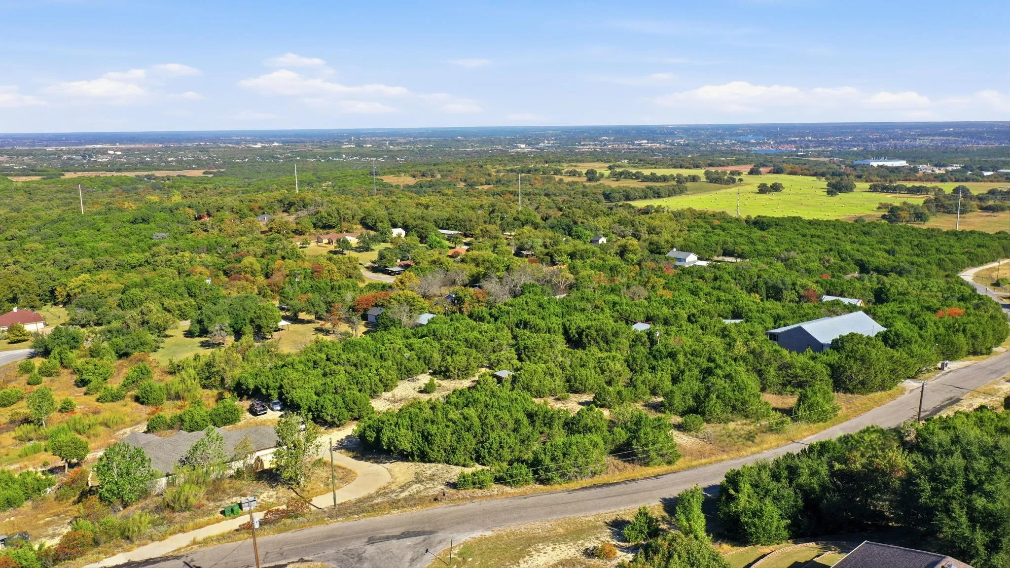 Drone / aerial view of a forest