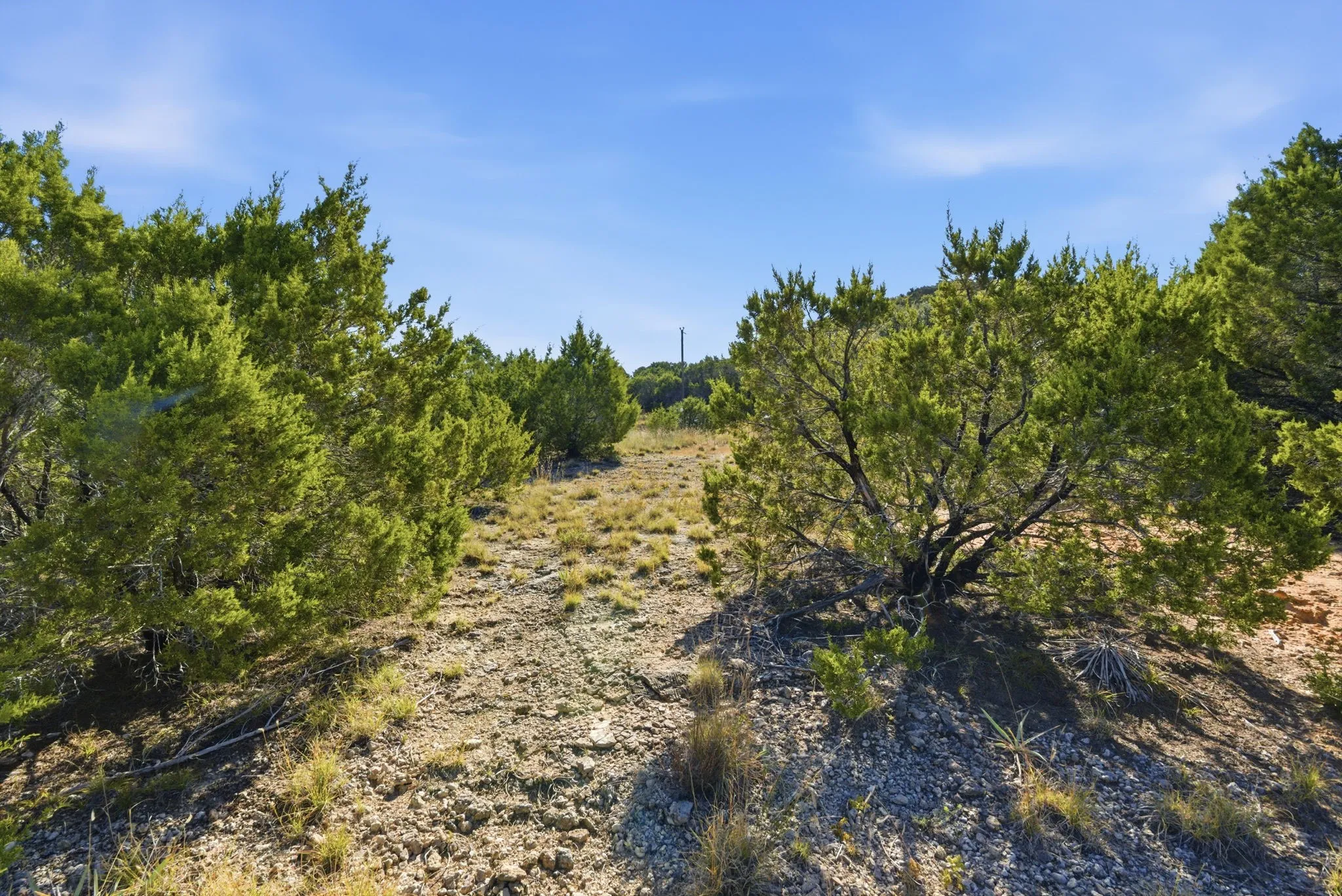 View of local wilderness with rural landscape