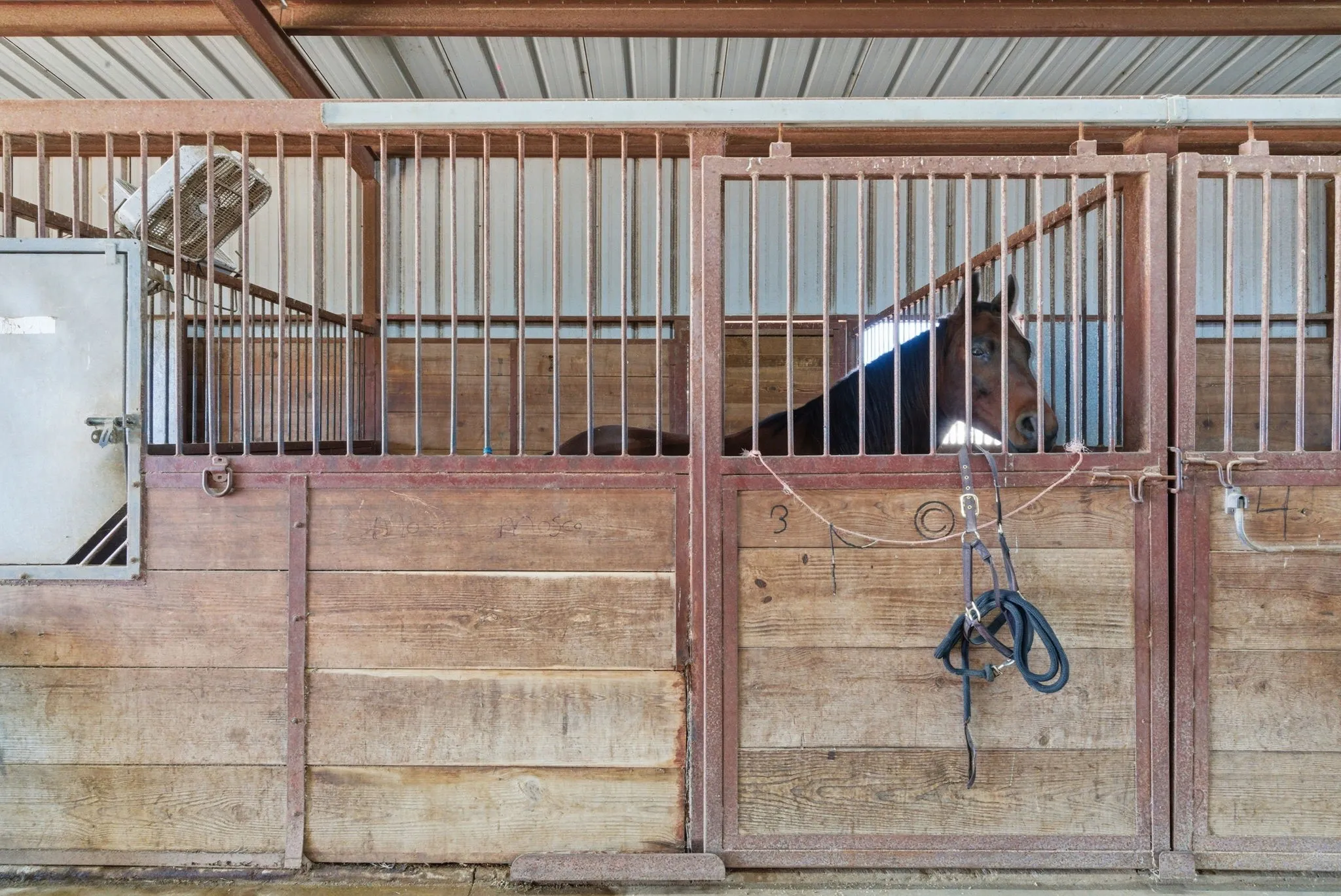 Farm For Sale in Parker County , 2691 N Fm Road 51, Springtown, Texas 76082, 6 Bedroom, 5 Bathroom, 3 Garage spaces, 6,449 Sqft, built in 1998, Preowned, mls#21117542, Real Estate Agent in Springtown, Homes For Sale in Parker county, Homes For Sale in Springtown, Realtor in Springtown Texas, Real Estate Brokerage Independent Realty Texas, Luminita Cordes Realtor