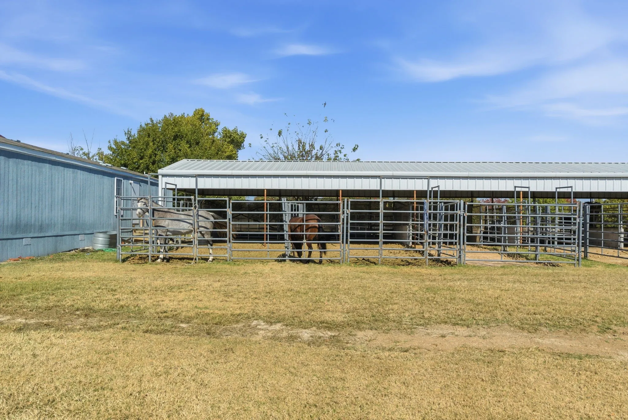 Farm For Sale in Parker County , 2691 N Fm Road 51, Springtown, Texas 76082, 6 Bedroom, 5 Bathroom, 3 Garage spaces, 6,449 Sqft, built in 1998, Preowned, mls#21117542, Real Estate Agent in Springtown, Homes For Sale in Parker county, Homes For Sale in Springtown, Realtor in Springtown Texas, Real Estate Brokerage Independent Realty Texas, Luminita Cordes Realtor