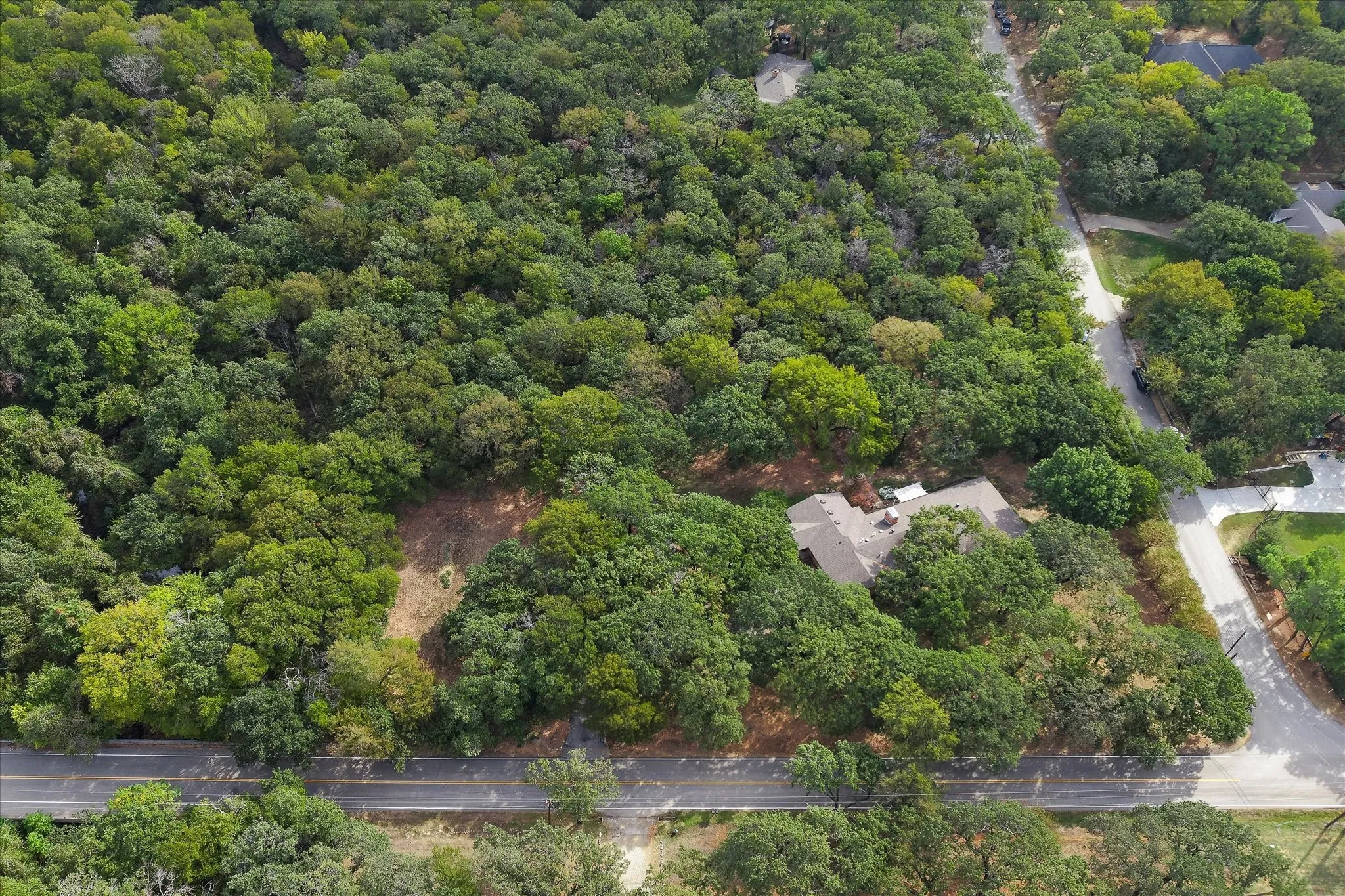 Bird's eye view of a forest