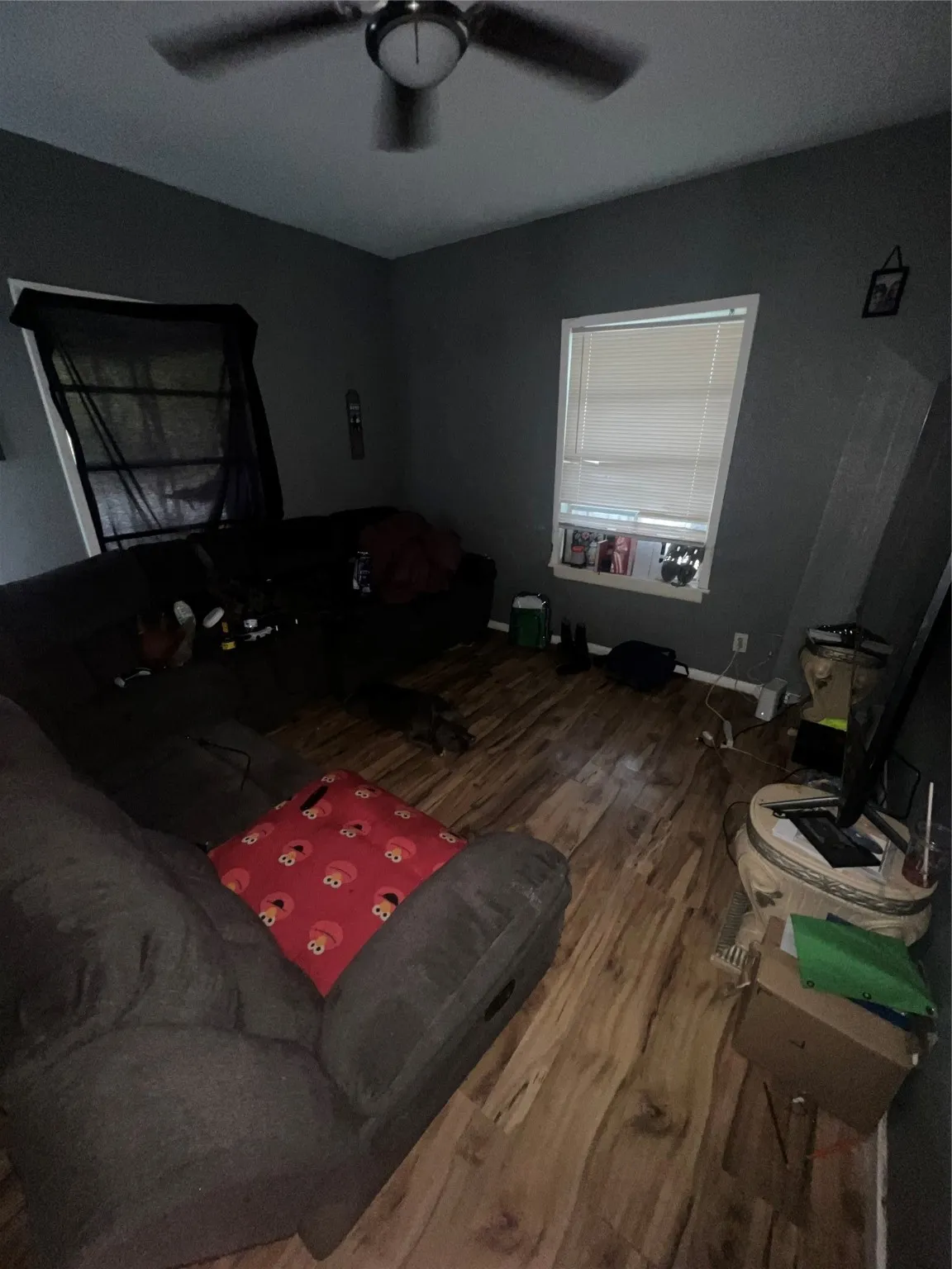 Living area with wood finished floors and a ceiling fan
