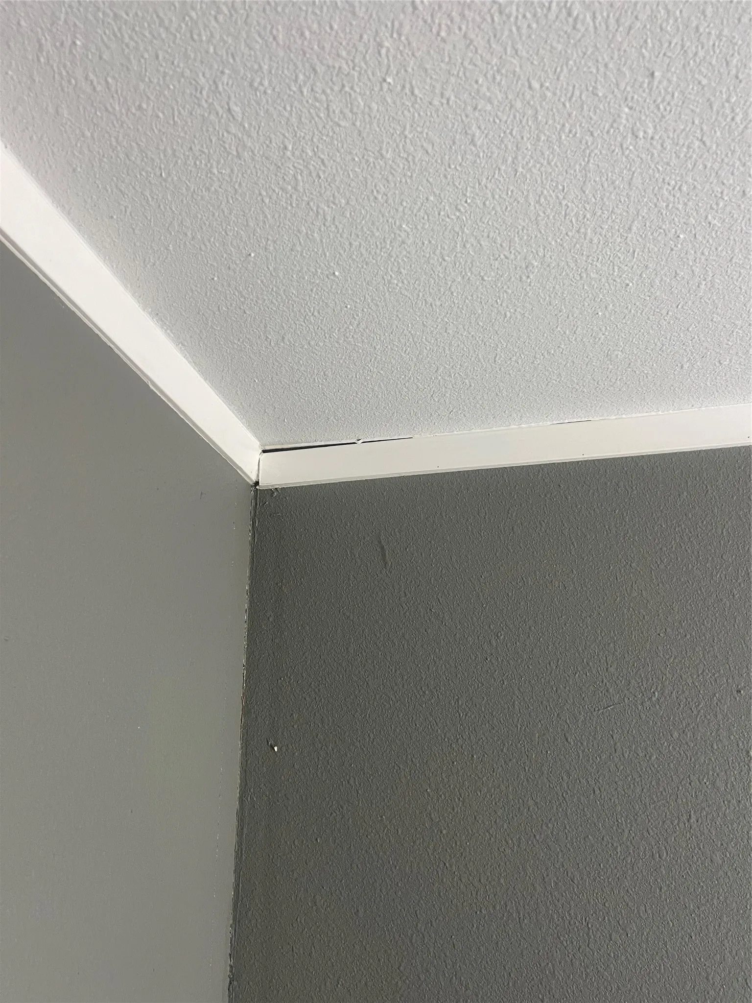 Detailed view of a textured ceiling