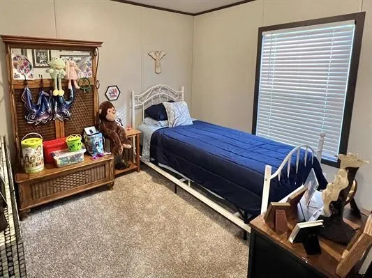 Carpeted bedroom featuring crown molding