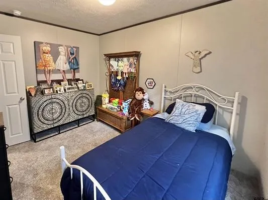 Bedroom featuring carpet floors, a textured ceiling, and ornamental molding