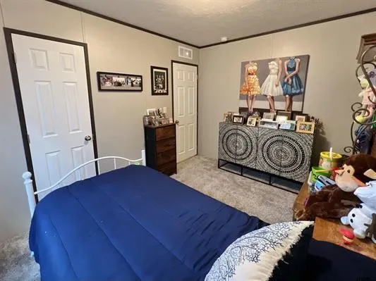 Carpeted bedroom featuring ornamental molding and a textured ceiling