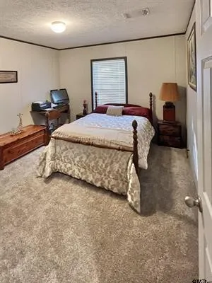 Carpeted bedroom with a textured ceiling