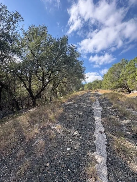View of road