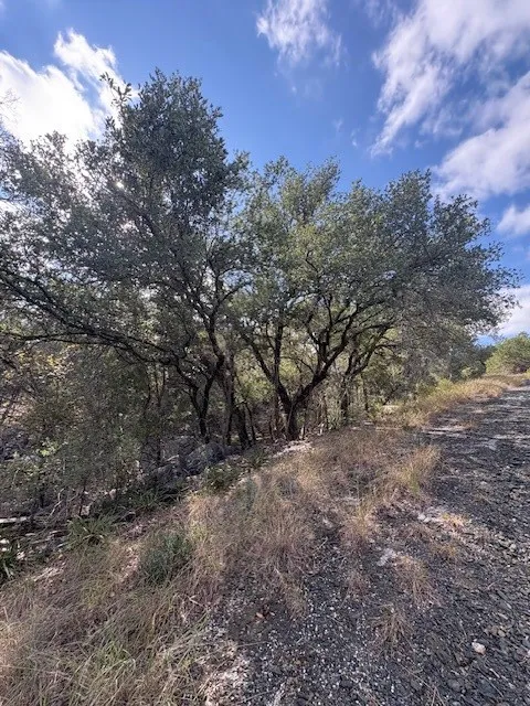 View of local wilderness