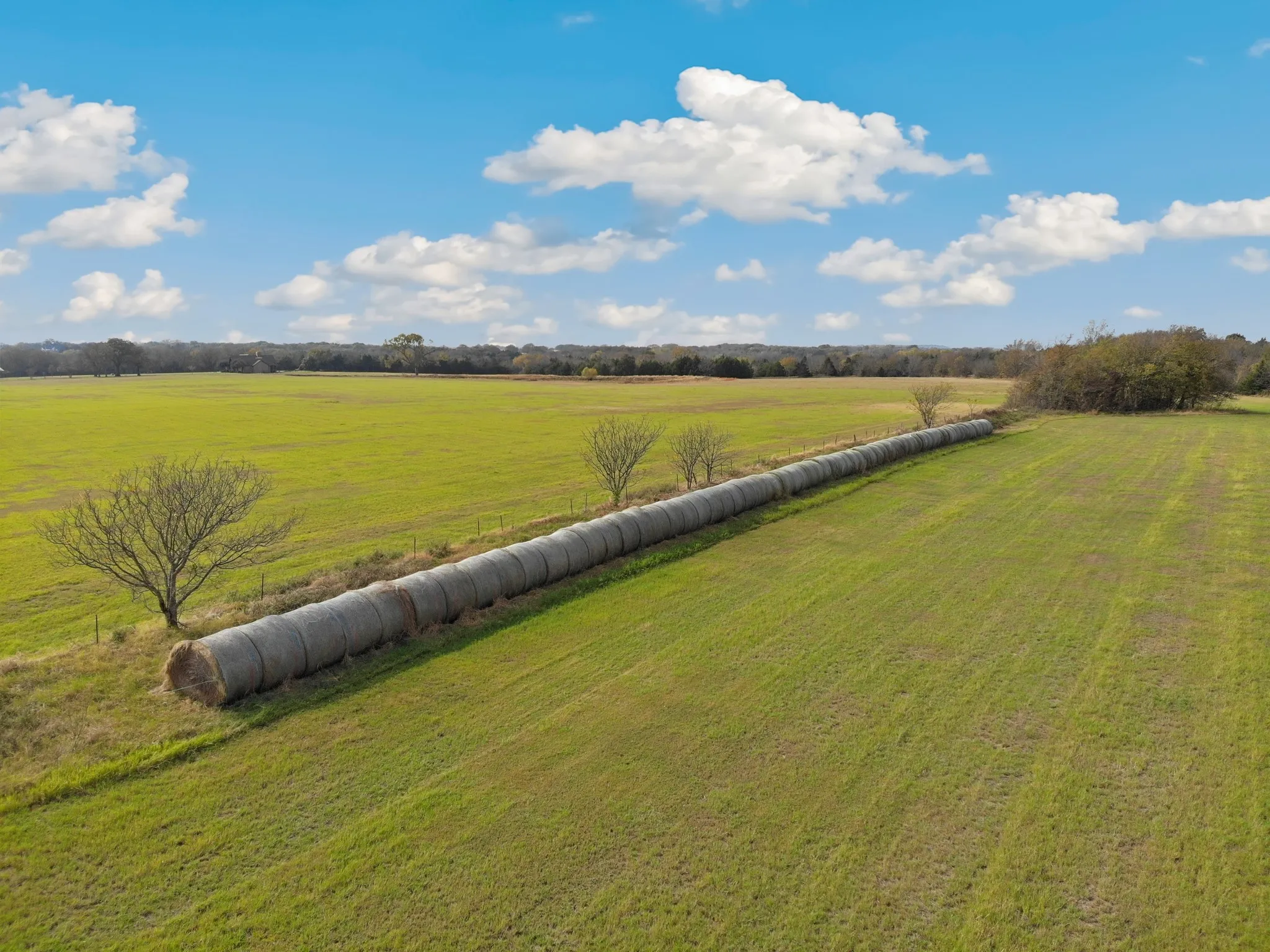 Unimproved Land For Sale in Grayson County , 0 Buck Creek Road, Pilot Point, Texas 76258, 0, 0, Garage spaces, 0 Sqft, built in 0, mls#21118029, Real Estate Agent in Pilot Point, Homes For Sale in Grayson county, Homes For Sale in Pilot Point, Realtor in Pilot Point Texas, Real Estate Brokerage Independent Realty Texas, Luminita Cordes Realtor