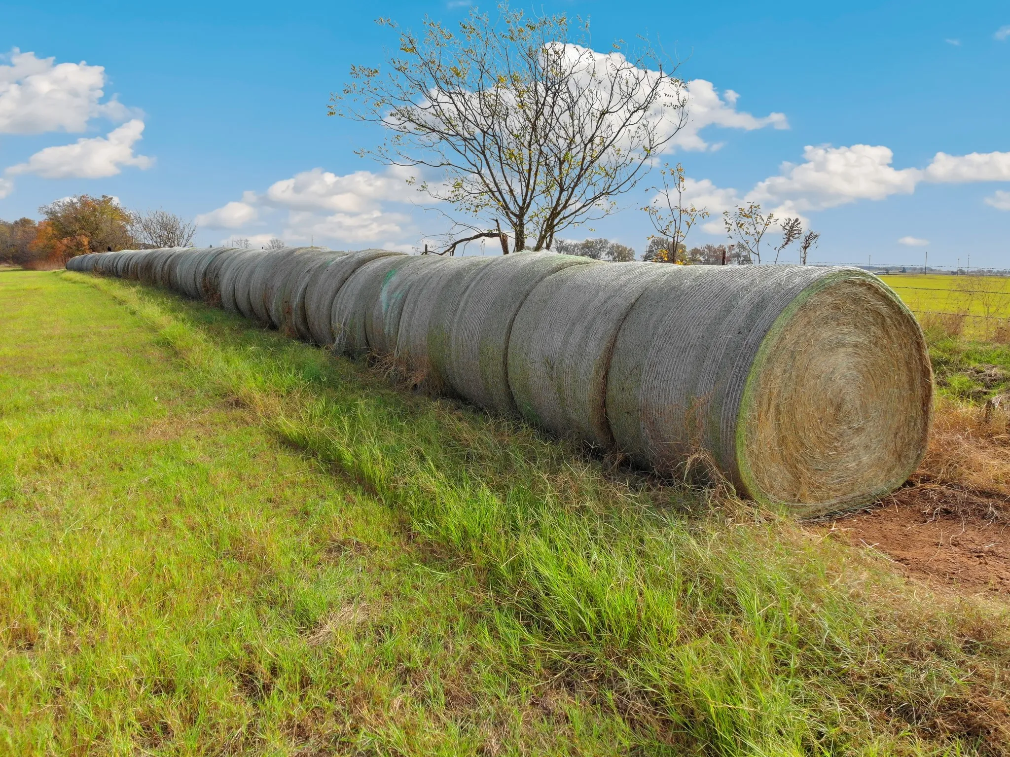 Unimproved Land For Sale in Grayson County , 0 Buck Creek Road, Pilot Point, Texas 76258, 0, 0, Garage spaces, 0 Sqft, built in 0, mls#21118029, Real Estate Agent in Pilot Point, Homes For Sale in Grayson county, Homes For Sale in Pilot Point, Realtor in Pilot Point Texas, Real Estate Brokerage Independent Realty Texas, Luminita Cordes Realtor