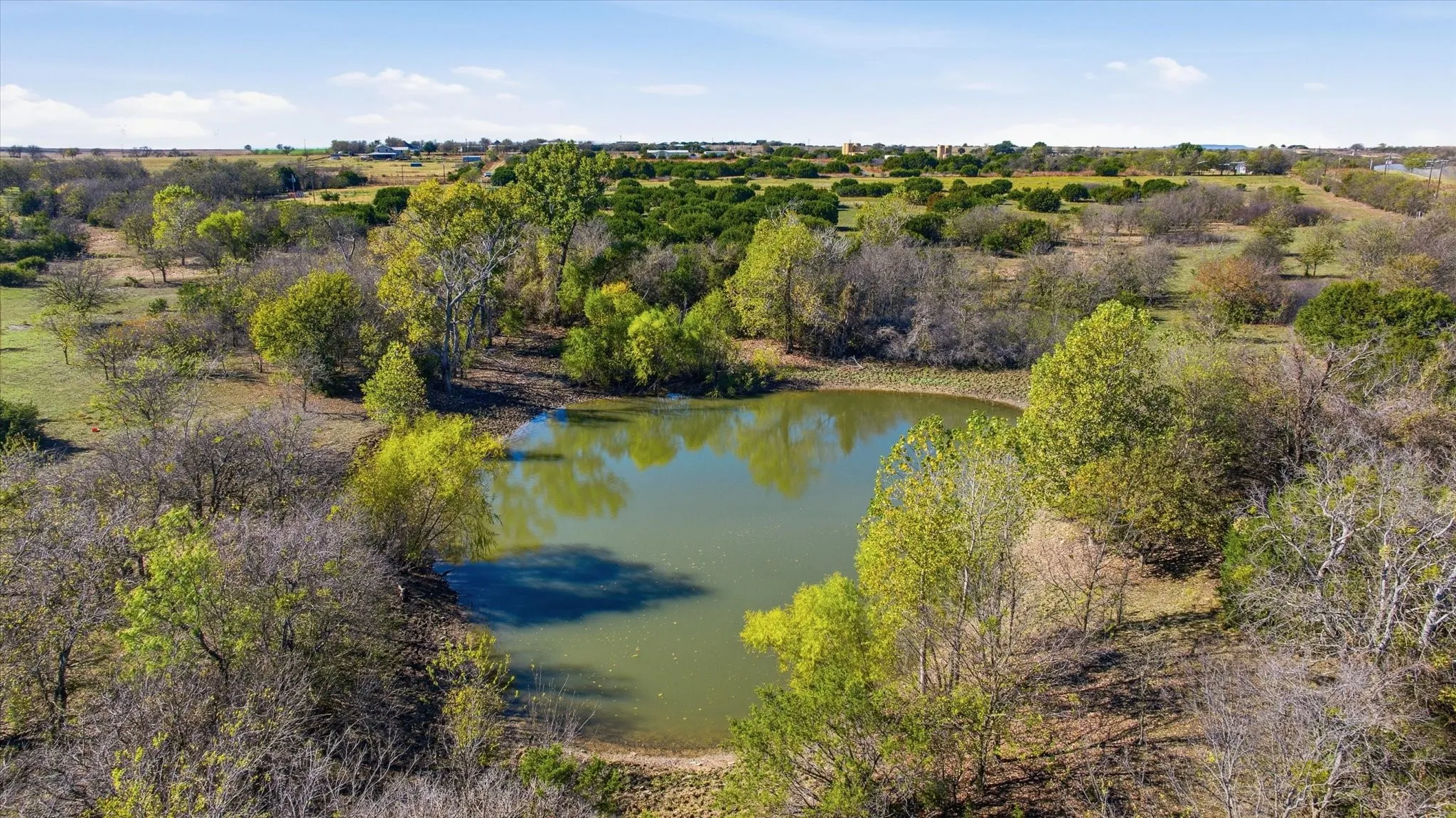 spring fed pond