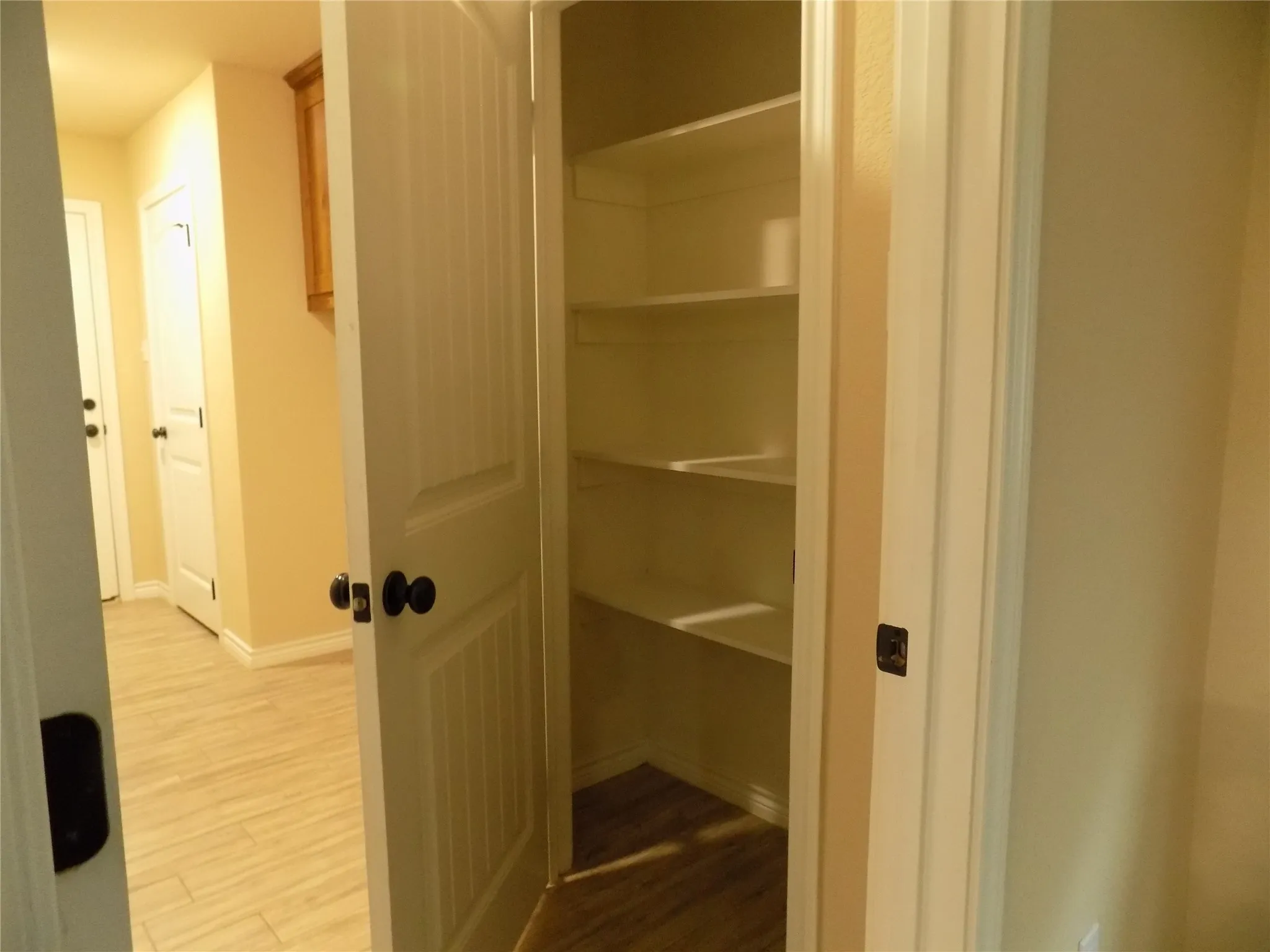 Pantry just inside the laundry, but next to the kitchen; very handy.