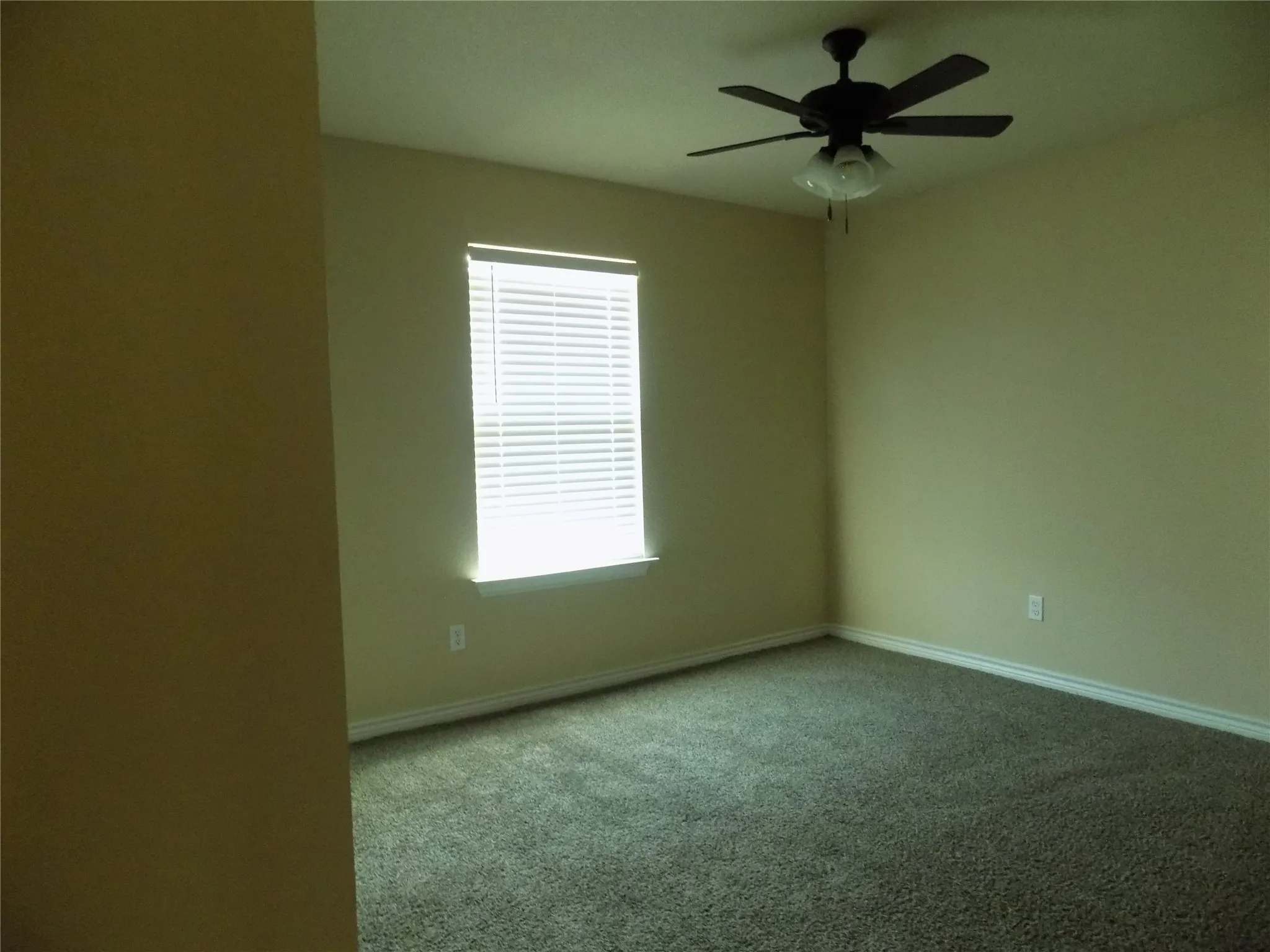 Second bedroom with large window and great wall to wall walk in closet.