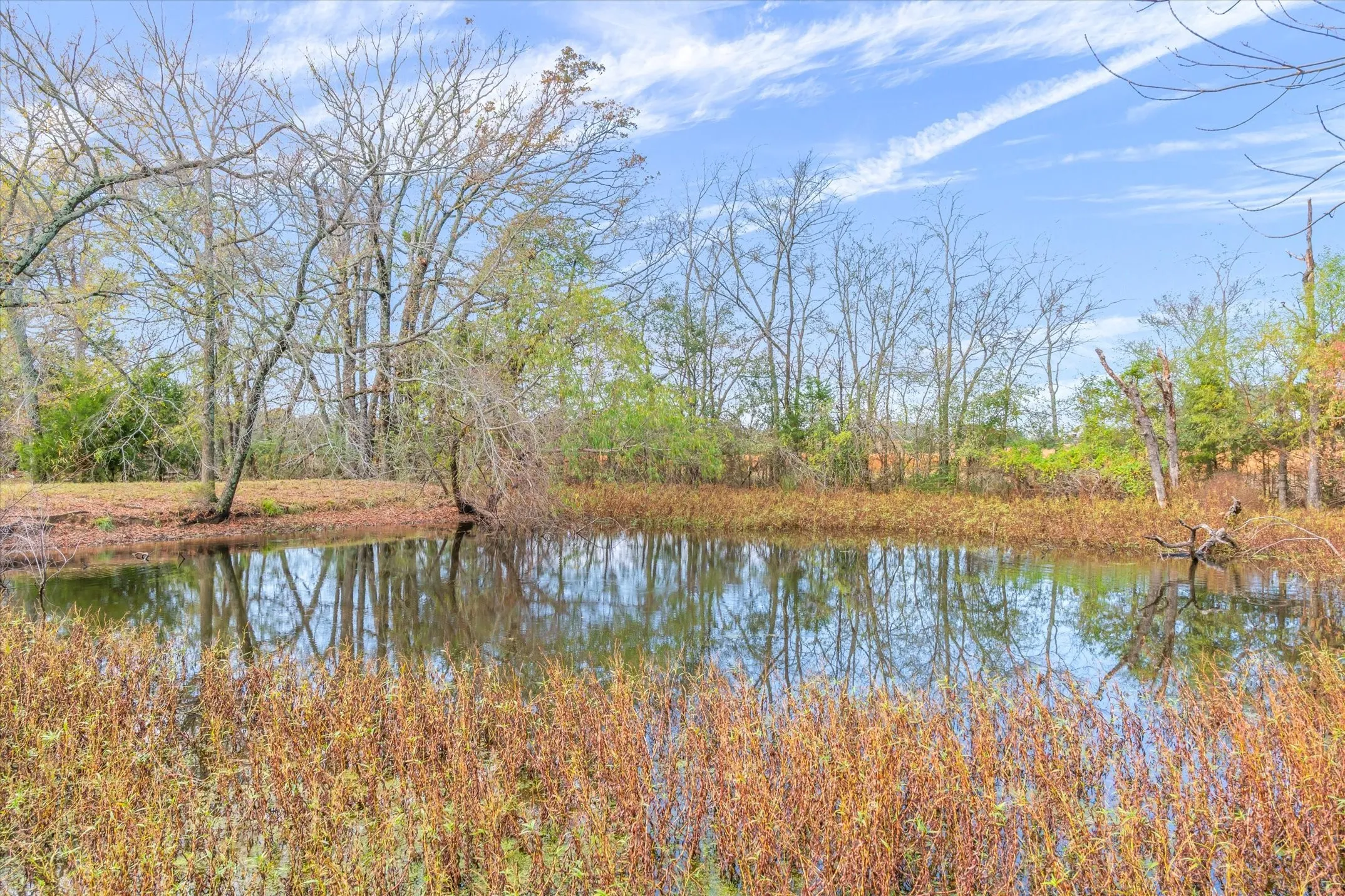 Single Family Residence For Sale in Van Zandt County , 11384 Fm 859, Wills Point, Texas 75169, 3 Bedrooms, 3 Bathrooms, 4 Garage spaces, 2,761 Sqft, built in 1984, Preowned, Price $499,950, mls#21119213, Real Estate Agent in Wills Point, Homes For Sale in Van Zandt county, Homes For Sale in Wills Point, Realtor in Wills Point Texas, Real Estate Brokerage Independent Realty Texas, Luminita Cordes Realtor