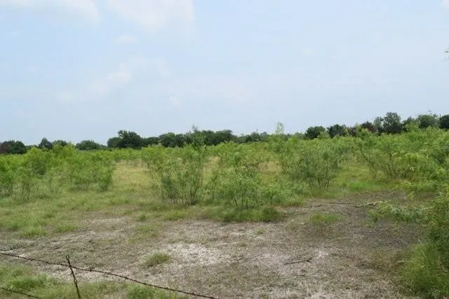 View of undeveloped land with rural landscape