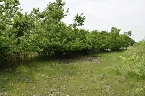 Unimproved Land For Sale in Kaufman County , 0 Cr-283, Terrell, Texas 75160, 0, 0, Garage spaces, 0 Sqft, built in 0, Price $240,000, mls#21119367, Real Estate Agent in Terrell, Homes For Sale in Kaufman county, Homes For Sale in Terrell, Realtor in Terrell Texas, Real Estate Brokerage Independent Realty Texas, Luminita Cordes Realtor