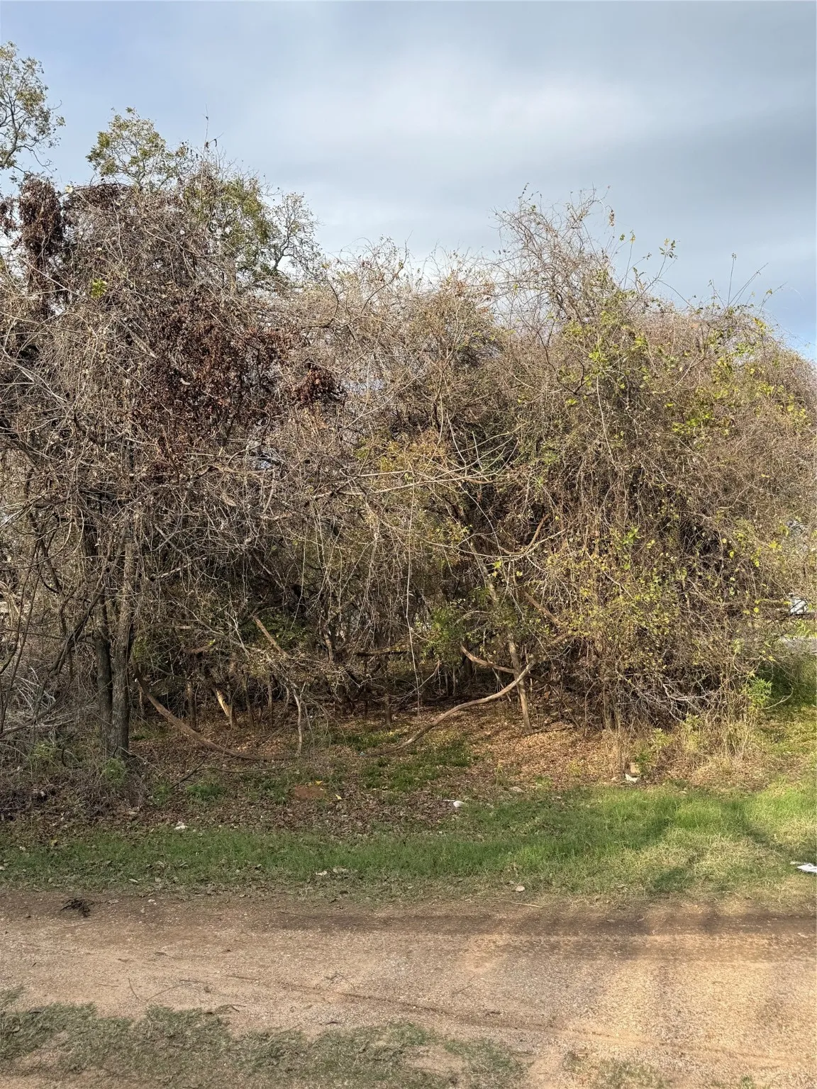 Unimproved Land For Sale in Parker County , 7114 Huron Trail, Weatherford, Texas 76087, 0, 0, Garage spaces, 0 Sqft, built in 0, mls#21119571, Real Estate Agent in Weatherford, Homes For Sale in Parker county, Homes For Sale in Weatherford, Realtor in Weatherford Texas, Real Estate Brokerage Independent Realty Texas, Luminita Cordes Realtor