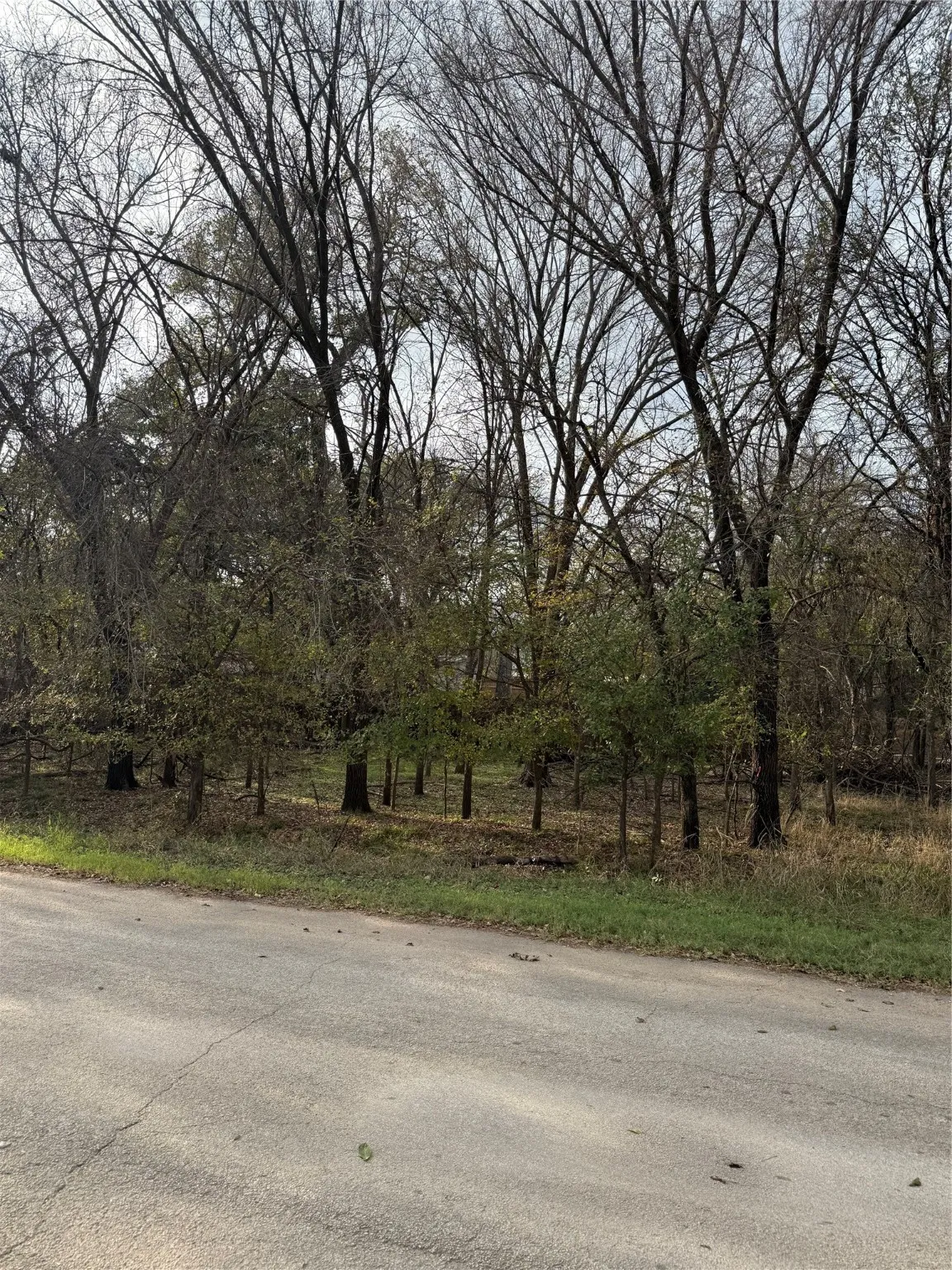 Unimproved Land For Sale in Parker County , 7114 Huron Trail, Weatherford, Texas 76087, 0, 0, Garage spaces, 0 Sqft, built in 0, mls#21119571, Real Estate Agent in Weatherford, Homes For Sale in Parker county, Homes For Sale in Weatherford, Realtor in Weatherford Texas, Real Estate Brokerage Independent Realty Texas, Luminita Cordes Realtor