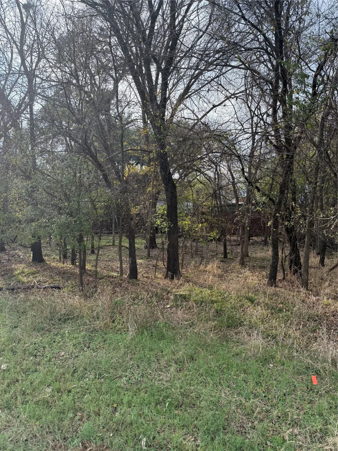 Unimproved Land For Sale in Parker County , 7114 Huron Trail, Weatherford, Texas 76087, 0, 0, Garage spaces, 0 Sqft, built in 0, mls#21119571, Real Estate Agent in Weatherford, Homes For Sale in Parker county, Homes For Sale in Weatherford, Realtor in Weatherford Texas, Real Estate Brokerage Independent Realty Texas, Luminita Cordes Realtor