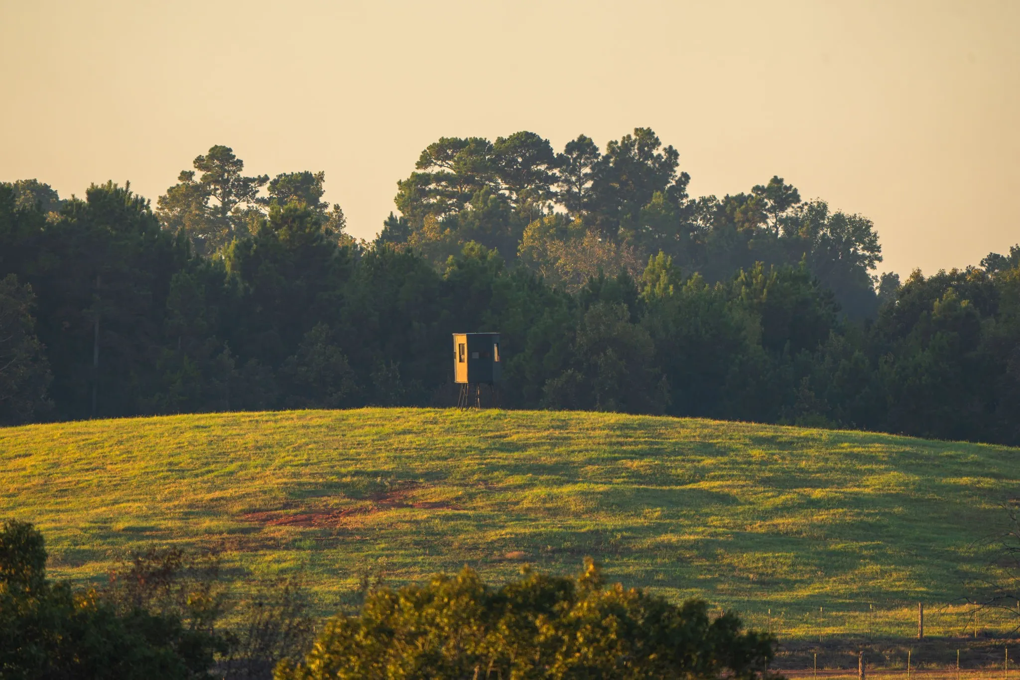 Ranch For Sale in Smith County , 10326 County Road 3112 N, Kilgore, Texas 75662, 0, 0, Garage spaces, 0 Sqft, built in 0, mls#21097622, Real Estate Agent in Kilgore, Homes For Sale in Smith county, Homes For Sale in Kilgore, Realtor in Kilgore Texas, Real Estate Brokerage Independent Realty Texas, Luminita Cordes Realtor