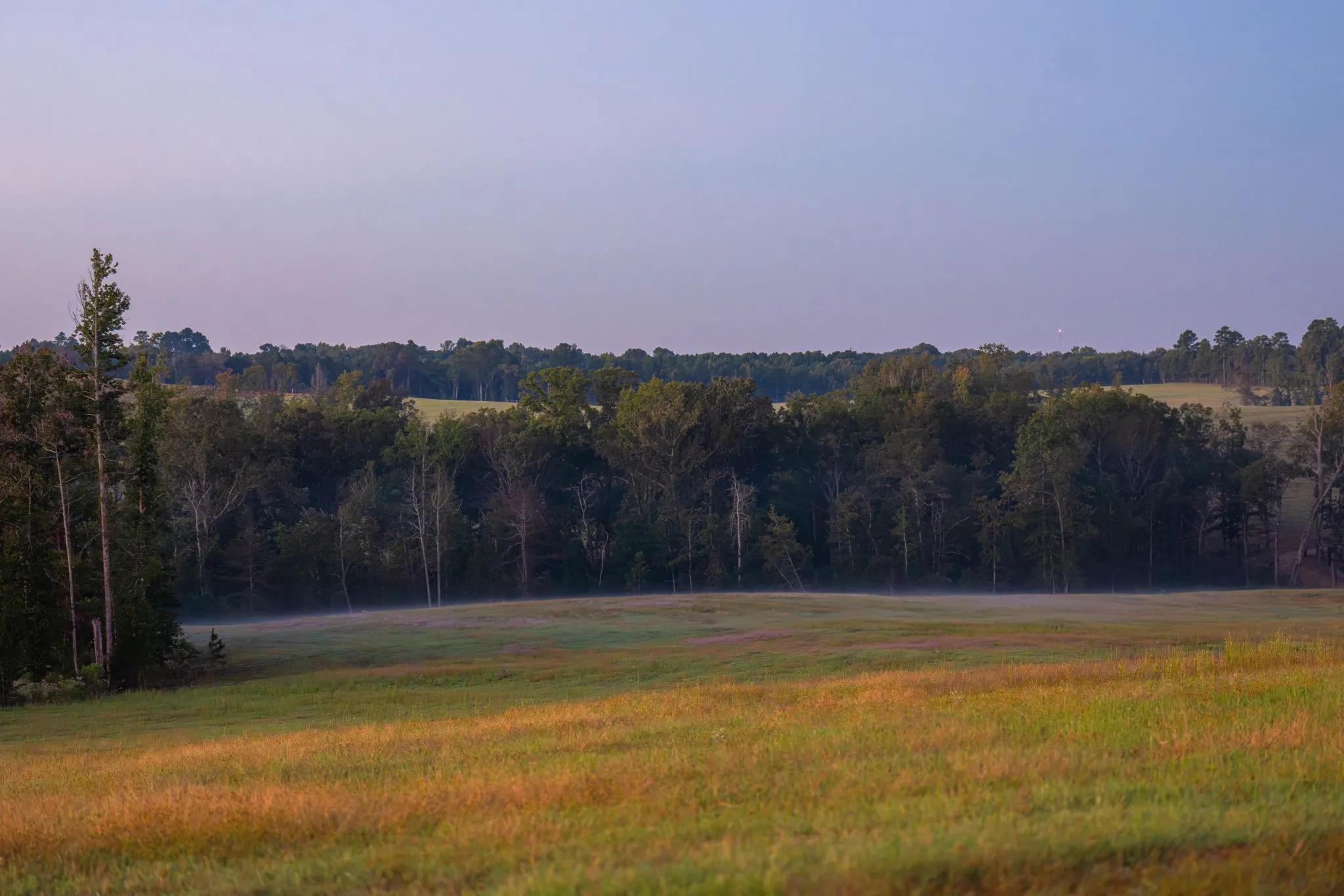 Ranch For Sale in Smith County , 10326 County Road 3112 N, Kilgore, Texas 75662, 0, 0, Garage spaces, 0 Sqft, built in 0, mls#21097622, Real Estate Agent in Kilgore, Homes For Sale in Smith county, Homes For Sale in Kilgore, Realtor in Kilgore Texas, Real Estate Brokerage Independent Realty Texas, Luminita Cordes Realtor