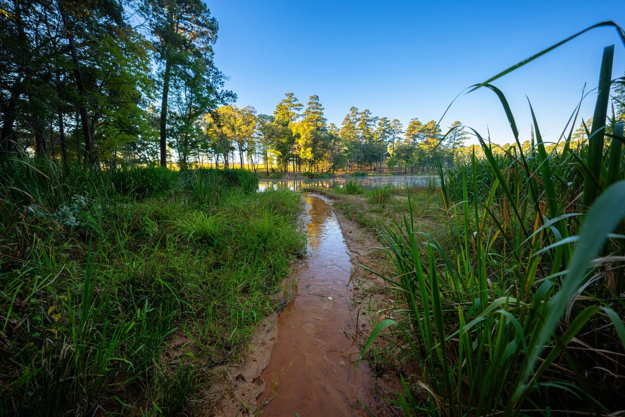 Ranch For Sale in Smith County , 10326 County Road 3112 N, Kilgore, Texas 75662, 0, 0, Garage spaces, 0 Sqft, built in 0, mls#21097622, Real Estate Agent in Kilgore, Homes For Sale in Smith county, Homes For Sale in Kilgore, Realtor in Kilgore Texas, Real Estate Brokerage Independent Realty Texas, Luminita Cordes Realtor