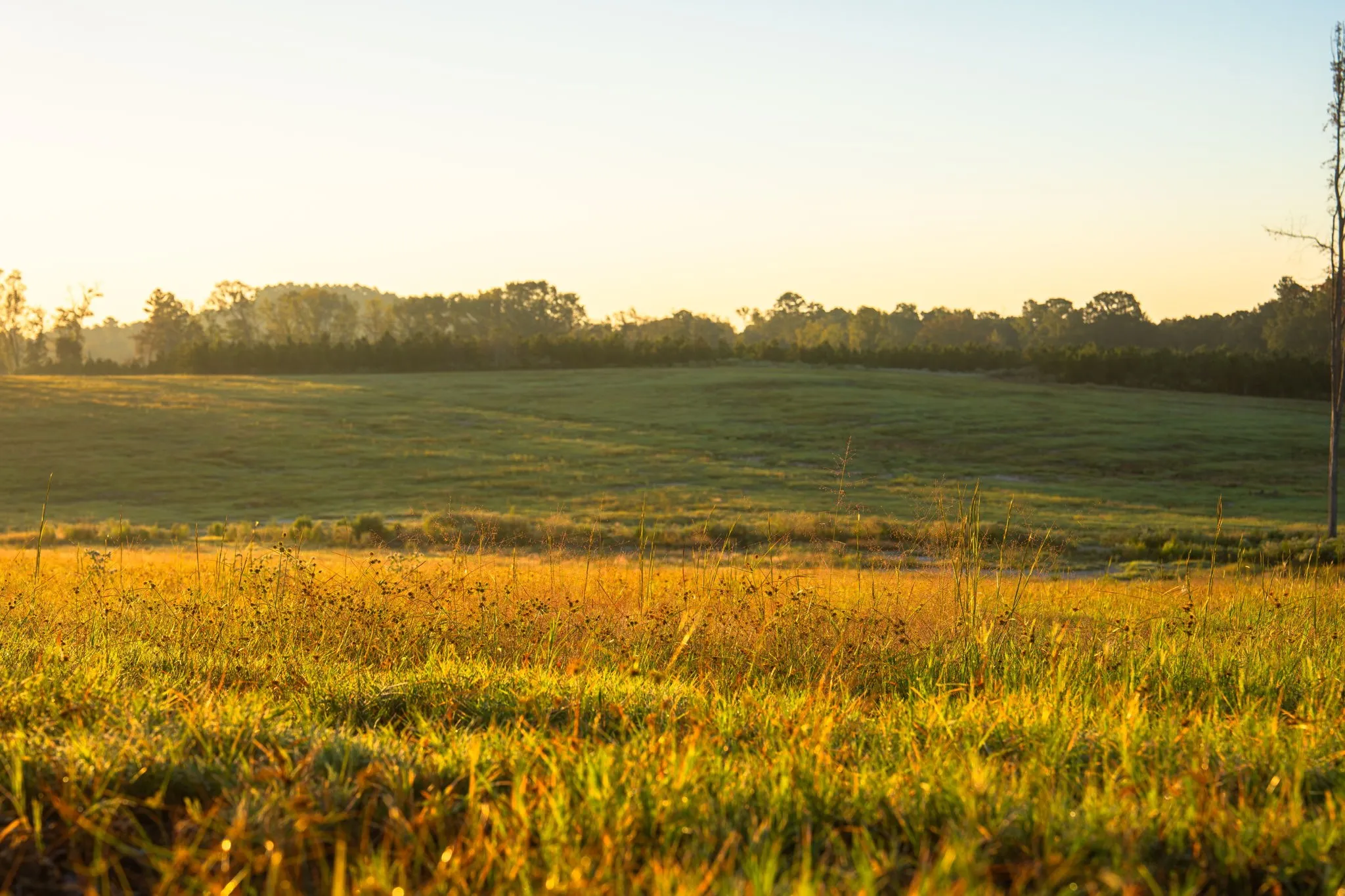 Ranch For Sale in Smith County , 10326 County Road 3112 N, Kilgore, Texas 75662, 0, 0, Garage spaces, 0 Sqft, built in 0, mls#21097622, Real Estate Agent in Kilgore, Homes For Sale in Smith county, Homes For Sale in Kilgore, Realtor in Kilgore Texas, Real Estate Brokerage Independent Realty Texas, Luminita Cordes Realtor