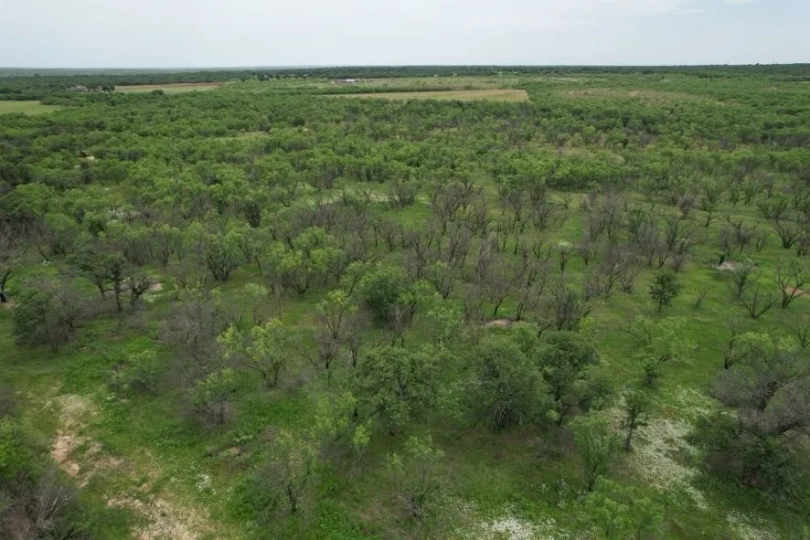 Unimproved Land For Sale in Jones County , TBD FM 600, Anson, Texas 79501, 0, 0, Garage spaces, 0 Sqft, built in 0, Price $546,000, mls#21119343, Real Estate Agent in Anson, Homes For Sale in Jones county, Homes For Sale in Anson, Realtor in Anson Texas, Real Estate Brokerage Independent Realty Texas, Luminita Cordes Realtor