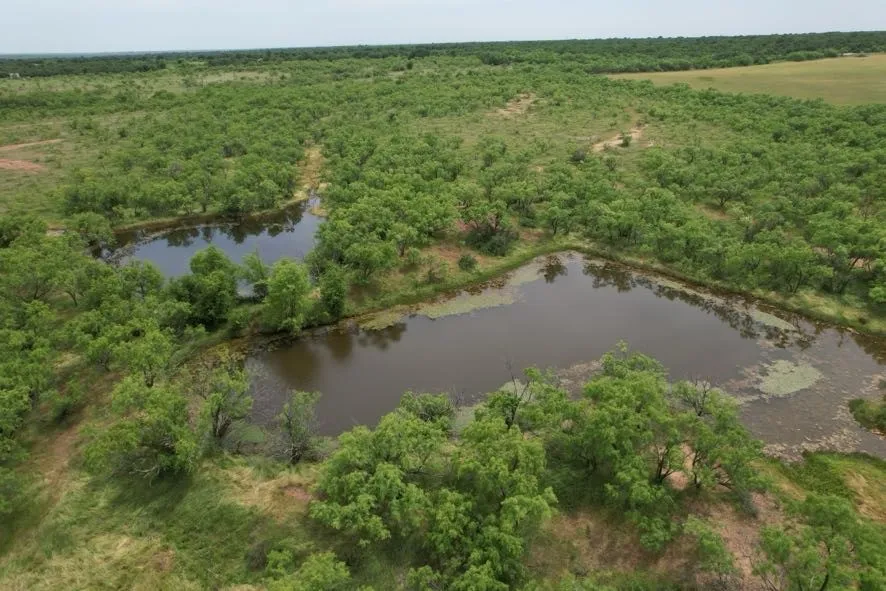 Unimproved Land For Sale in Jones County , TBD FM 600, Anson, Texas 79501, 0, 0, Garage spaces, 0 Sqft, built in 0, Price $546,000, mls#21119343, Real Estate Agent in Anson, Homes For Sale in Jones county, Homes For Sale in Anson, Realtor in Anson Texas, Real Estate Brokerage Independent Realty Texas, Luminita Cordes Realtor