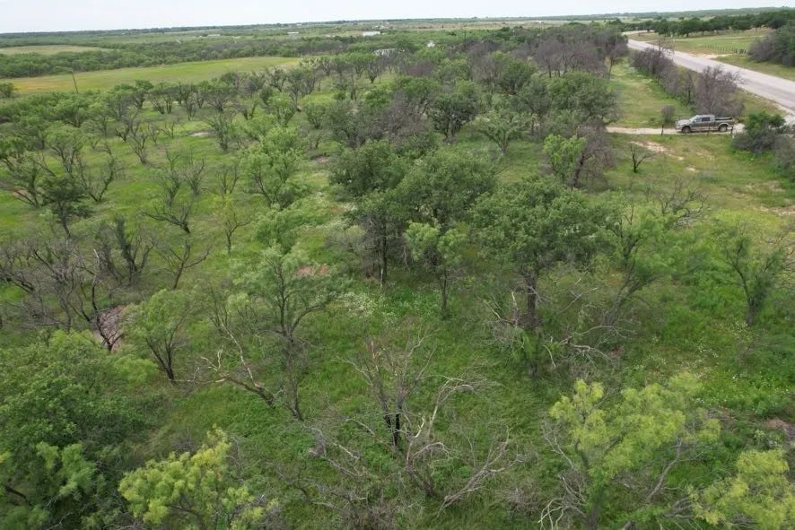 Unimproved Land For Sale in Jones County , TBD FM 600, Anson, Texas 79501, 0, 0, Garage spaces, 0 Sqft, built in 0, Price $546,000, mls#21119343, Real Estate Agent in Anson, Homes For Sale in Jones county, Homes For Sale in Anson, Realtor in Anson Texas, Real Estate Brokerage Independent Realty Texas, Luminita Cordes Realtor