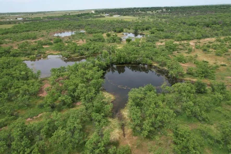 Unimproved Land For Sale in Jones County , TBD FM 600, Anson, Texas 79501, 0, 0, Garage spaces, 0 Sqft, built in 0, Price $546,000, mls#21119343, Real Estate Agent in Anson, Homes For Sale in Jones county, Homes For Sale in Anson, Realtor in Anson Texas, Real Estate Brokerage Independent Realty Texas, Luminita Cordes Realtor