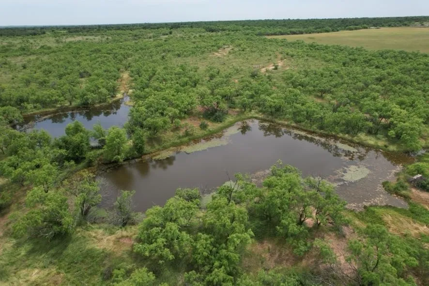 Unimproved Land For Sale in Jones County , TBD FM 600, Anson, Texas 79501, 0, 0, Garage spaces, 0 Sqft, built in 0, Price $546,000, mls#21119343, Real Estate Agent in Anson, Homes For Sale in Jones county, Homes For Sale in Anson, Realtor in Anson Texas, Real Estate Brokerage Independent Realty Texas, Luminita Cordes Realtor