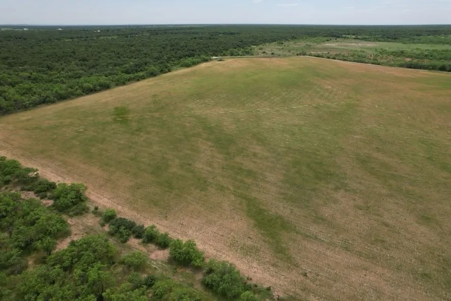 Unimproved Land For Sale in Jones County , TBD FM 600, Anson, Texas 79501, 0, 0, Garage spaces, 0 Sqft, built in 0, Price $546,000, mls#21119343, Real Estate Agent in Anson, Homes For Sale in Jones county, Homes For Sale in Anson, Realtor in Anson Texas, Real Estate Brokerage Independent Realty Texas, Luminita Cordes Realtor