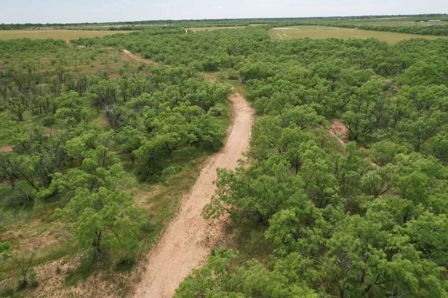 Unimproved Land For Sale in Jones County , TBD FM 600, Anson, Texas 79501, 0, 0, Garage spaces, 0 Sqft, built in 0, Price $546,000, mls#21119343, Real Estate Agent in Anson, Homes For Sale in Jones county, Homes For Sale in Anson, Realtor in Anson Texas, Real Estate Brokerage Independent Realty Texas, Luminita Cordes Realtor