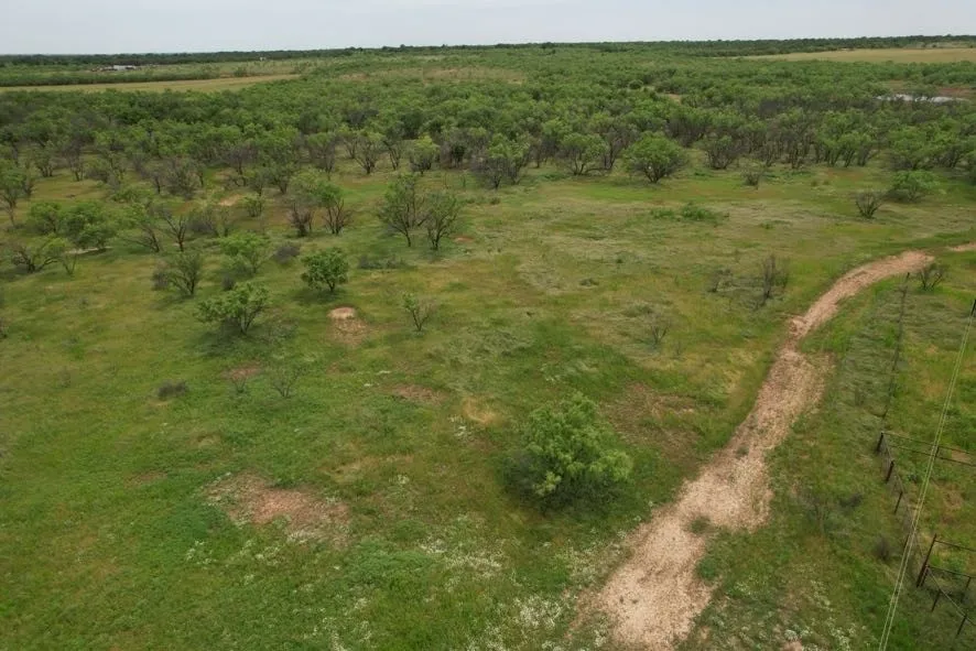 Unimproved Land For Sale in Jones County , TBD FM 600, Anson, Texas 79501, 0, 0, Garage spaces, 0 Sqft, built in 0, Price $546,000, mls#21119343, Real Estate Agent in Anson, Homes For Sale in Jones county, Homes For Sale in Anson, Realtor in Anson Texas, Real Estate Brokerage Independent Realty Texas, Luminita Cordes Realtor