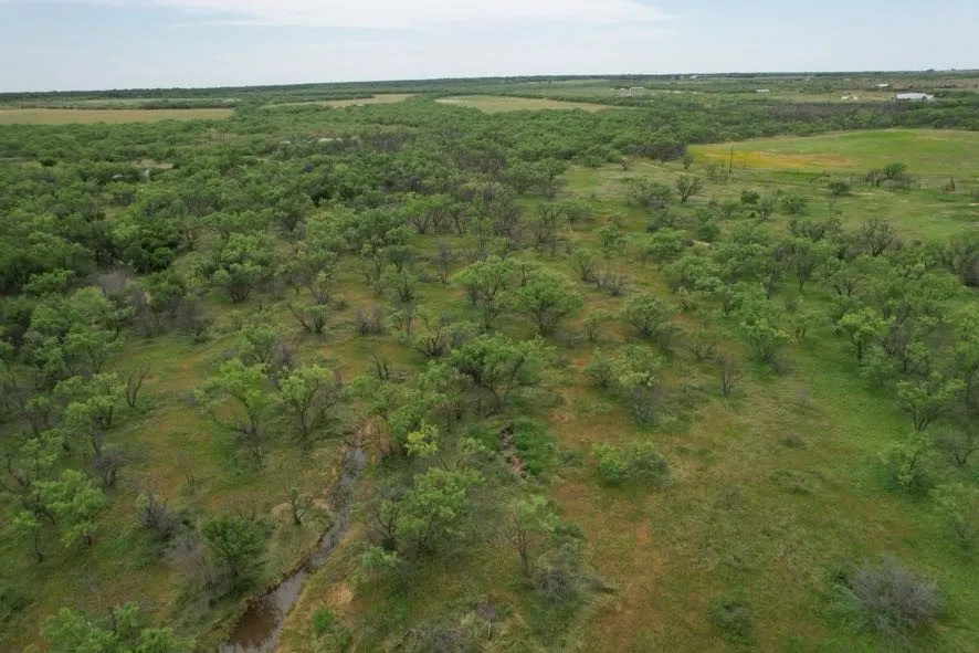 Unimproved Land For Sale in Jones County , TBD FM 600, Anson, Texas 79501, 0, 0, Garage spaces, 0 Sqft, built in 0, Price $546,000, mls#21119343, Real Estate Agent in Anson, Homes For Sale in Jones county, Homes For Sale in Anson, Realtor in Anson Texas, Real Estate Brokerage Independent Realty Texas, Luminita Cordes Realtor