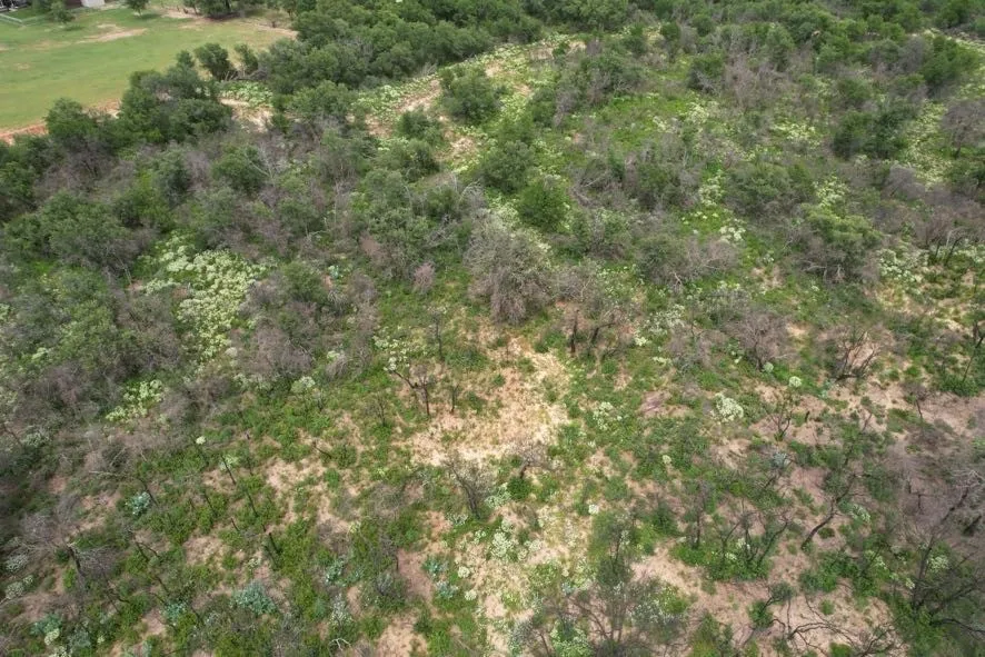 Unimproved Land For Sale in Jones County , TBD FM 600, Anson, Texas 79501, 0, 0, Garage spaces, 0 Sqft, built in 0, Price $546,000, mls#21119343, Real Estate Agent in Anson, Homes For Sale in Jones county, Homes For Sale in Anson, Realtor in Anson Texas, Real Estate Brokerage Independent Realty Texas, Luminita Cordes Realtor