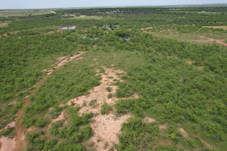 Unimproved Land For Sale in Jones County , TBD FM 600, Anson, Texas 79501, 0, 0, Garage spaces, 0 Sqft, built in 0, Price $546,000, mls#21119343, Real Estate Agent in Anson, Homes For Sale in Jones county, Homes For Sale in Anson, Realtor in Anson Texas, Real Estate Brokerage Independent Realty Texas, Luminita Cordes Realtor