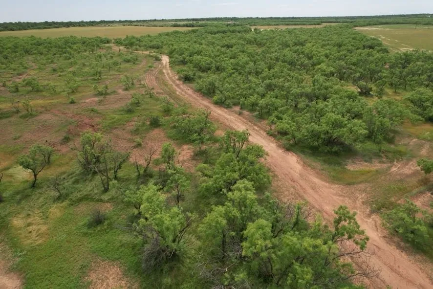 Unimproved Land For Sale in Jones County , TBD FM 600, Anson, Texas 79501, 0, 0, Garage spaces, 0 Sqft, built in 0, Price $546,000, mls#21119343, Real Estate Agent in Anson, Homes For Sale in Jones county, Homes For Sale in Anson, Realtor in Anson Texas, Real Estate Brokerage Independent Realty Texas, Luminita Cordes Realtor