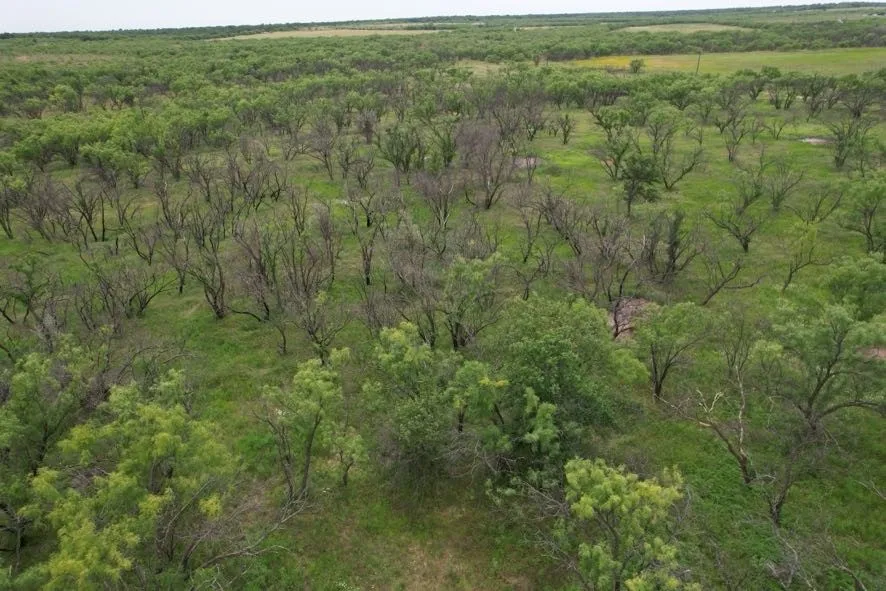 Unimproved Land For Sale in Jones County , TBD FM 600, Anson, Texas 79501, 0, 0, Garage spaces, 0 Sqft, built in 0, Price $546,000, mls#21119343, Real Estate Agent in Anson, Homes For Sale in Jones county, Homes For Sale in Anson, Realtor in Anson Texas, Real Estate Brokerage Independent Realty Texas, Luminita Cordes Realtor