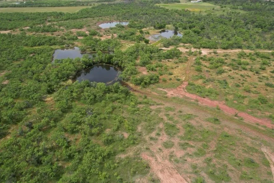 Unimproved Land For Sale in Jones County , TBD FM 600, Anson, Texas 79501, 0, 0, Garage spaces, 0 Sqft, built in 0, Price $546,000, mls#21119343, Real Estate Agent in Anson, Homes For Sale in Jones county, Homes For Sale in Anson, Realtor in Anson Texas, Real Estate Brokerage Independent Realty Texas, Luminita Cordes Realtor
