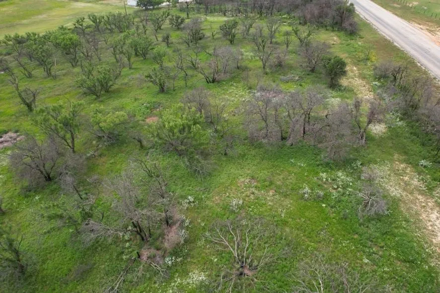 Unimproved Land For Sale in Jones County , TBD FM 600, Anson, Texas 79501, 0, 0, Garage spaces, 0 Sqft, built in 0, Price $546,000, mls#21119343, Real Estate Agent in Anson, Homes For Sale in Jones county, Homes For Sale in Anson, Realtor in Anson Texas, Real Estate Brokerage Independent Realty Texas, Luminita Cordes Realtor