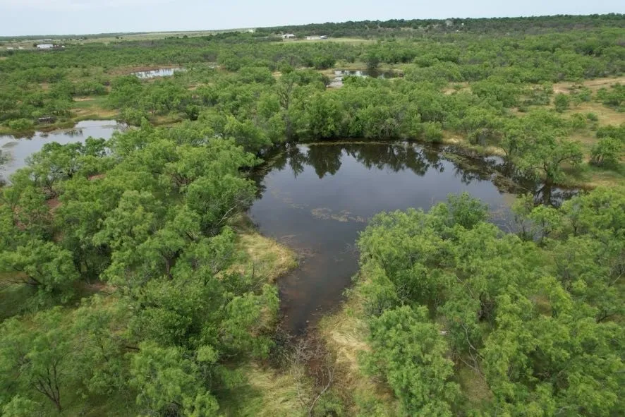 Unimproved Land For Sale in Jones County , TBD FM 600, Anson, Texas 79501, 0, 0, Garage spaces, 0 Sqft, built in 0, Price $546,000, mls#21119343, Real Estate Agent in Anson, Homes For Sale in Jones county, Homes For Sale in Anson, Realtor in Anson Texas, Real Estate Brokerage Independent Realty Texas, Luminita Cordes Realtor