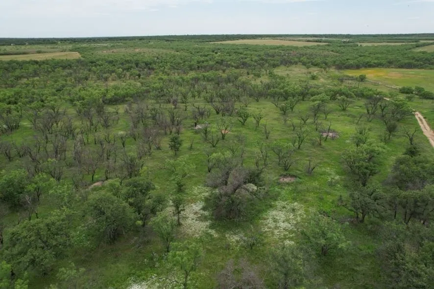 Unimproved Land For Sale in Jones County , TBD FM 600, Anson, Texas 79501, 0, 0, Garage spaces, 0 Sqft, built in 0, Price $546,000, mls#21119343, Real Estate Agent in Anson, Homes For Sale in Jones county, Homes For Sale in Anson, Realtor in Anson Texas, Real Estate Brokerage Independent Realty Texas, Luminita Cordes Realtor